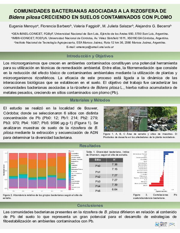 Vista previa: Comunidades bacterianas asociadas a la rizosfera de Bidens pilosa creciendo en suelos contaminados con plomo