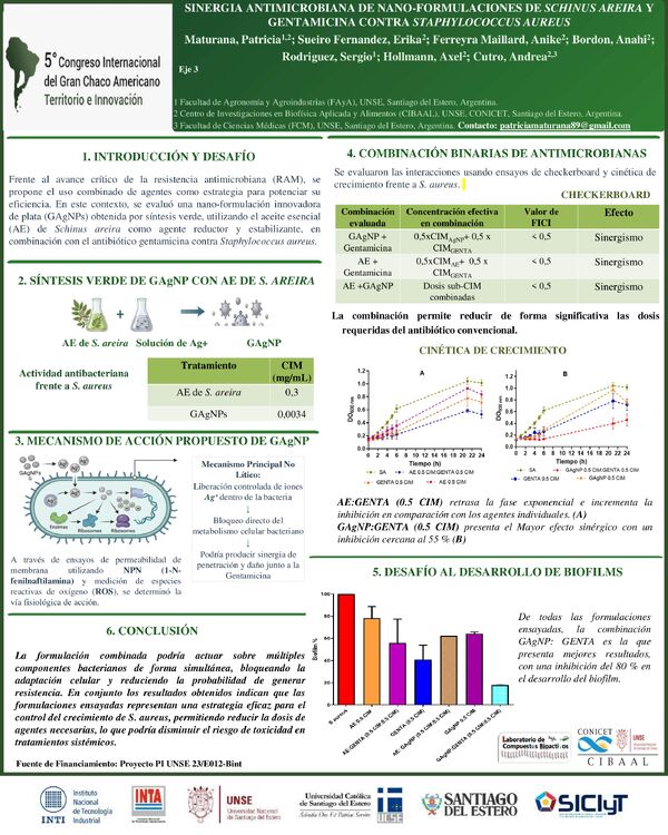 Vista previa: Sinergia Antimicrobiana de Nanoformulaciones de Schinus areira y Gentamicinacontra Staphylococcus aureus.